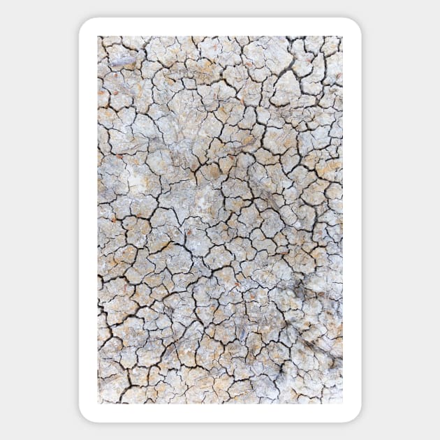 Dry and swollen earth texture Sticker by textural